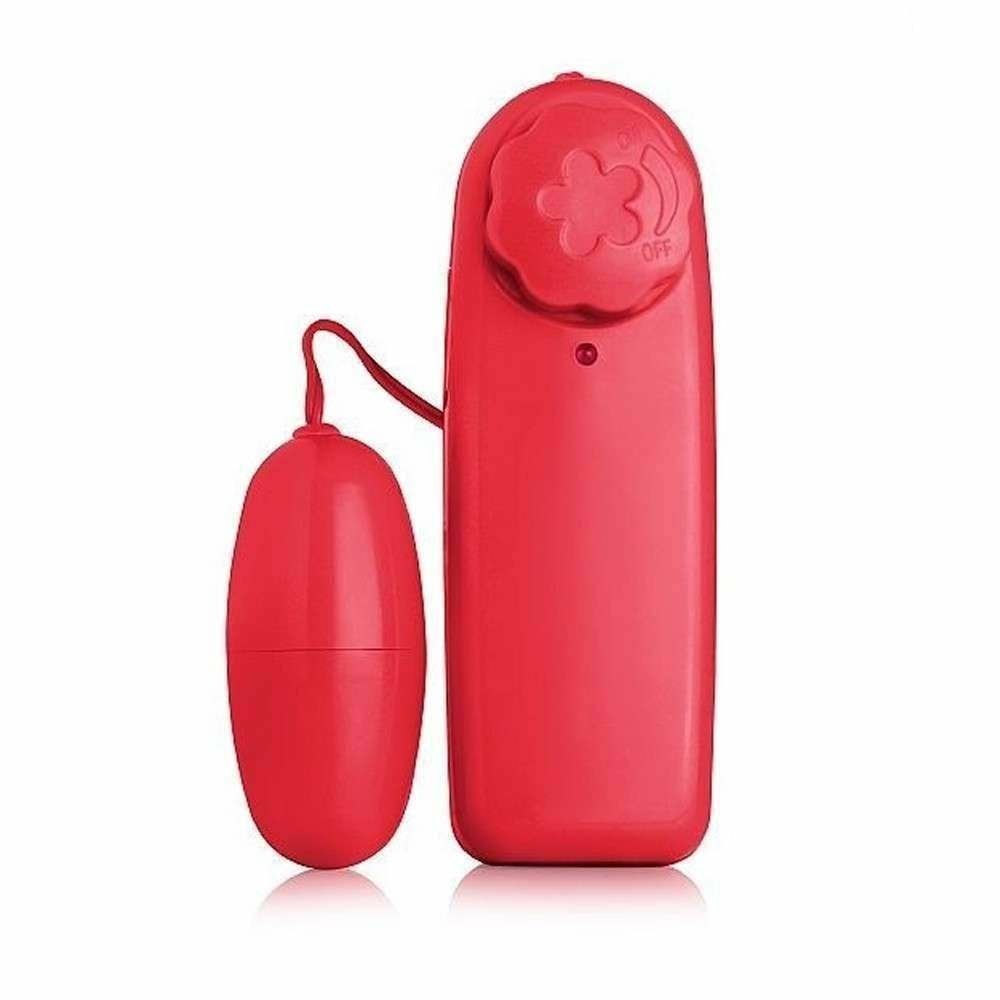 Vibrador ovo com controle